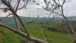 Another view of the mountain side (Picture taken by Ricardo Funari, 2015)